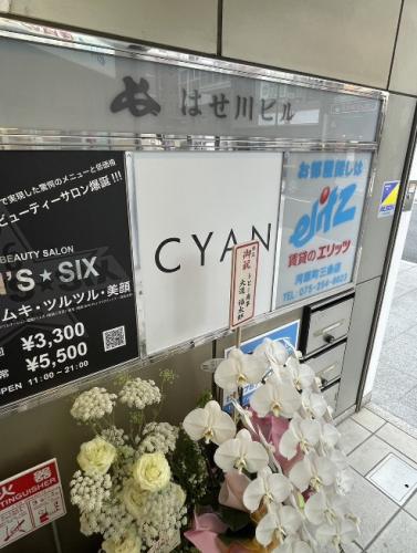 CYAN s͌X